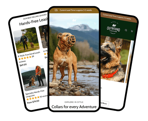 Best Shopify Ecommerce SEO Company