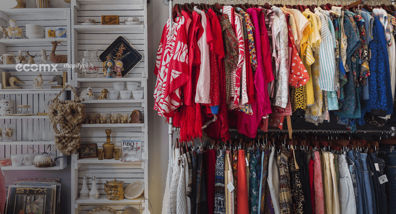 How to Start a Luxury Clothing Store at Home: Detailed Guide